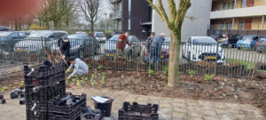 De ontmoetingstuin
